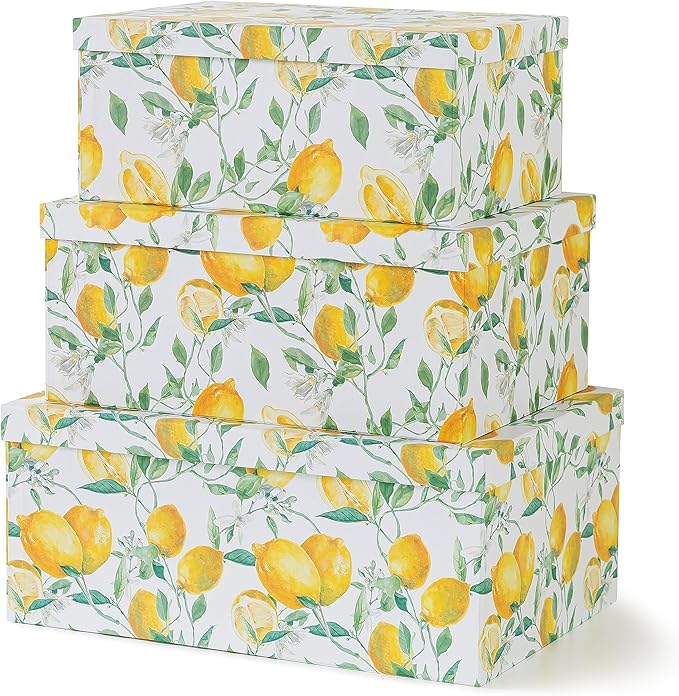 Soul & Lane Decorative Cardboard Storage Boxes with Lids for Home Decor and Organization, Set of 3 Large Keepsake Boxes for Memories & Gifts, Nesting Floral Photo Storage Containers, Zesty Lemons