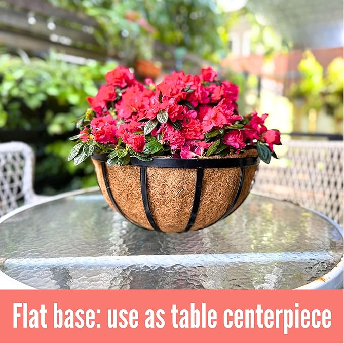 LaLaGreen Outdoor Hanging Baskets for Plants (4 Pack, 16 Inch) Black Large Hanging Planter with Coco Liner, Flat Iron Plant Pot Metal Flower Pots Deck Patio Porch Garden Balcony Outside Decoration