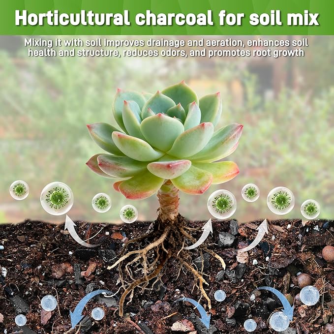 2 Quarts Horticultural Charcoal for Plants-Plant Charcoal Soil Amendment for Potting Soil Indoor Plants, Succulent Soil, Paphiopedilum, Bonsai, Terrarium,and Gardening