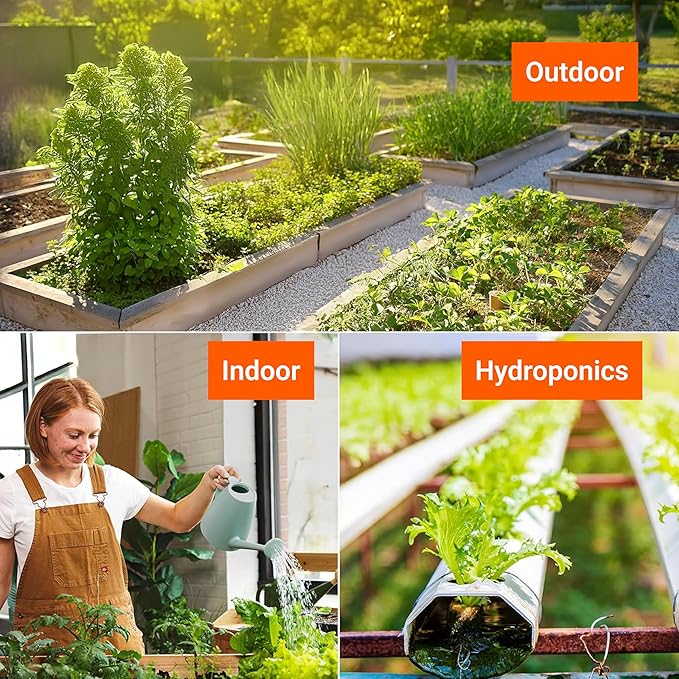 Open Seed Vault 4,000 Non GMO Heirloom Vegetable Seeds for Planting Vegetables and Fruits - 12 Variety Pack of Herb Seeds for Planting Outdoors - Gardening Supplies, Survival Gear, Prepper Kits
