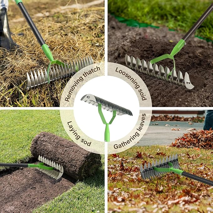 Thatch Rake, 13" Wide Efficient Dethatcher Rake with 55" Adjustable Long Handle, Heavy Duty Steel Metal Dethatching Rakes for Cleaning Dead Grass, Loosening Soil, Lawn Care in Yard Garden
