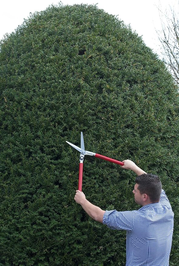 BERGER Topiary Shear 2520 with Beech Wood Handle Garden Shear with self-Sharpening Blades, Length 60 cm