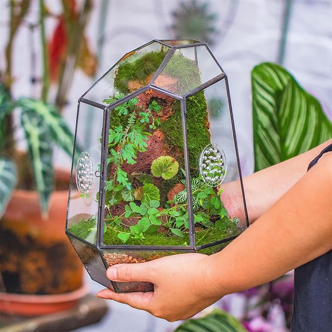 NCYP Closed Geometric Glass Enclosure with Front Opening Door & 2 Vent Holes for Insects, Succulent, Cacti - 7.9"x6.9"x9.8" Black Irregular Terrarium Planter - Home Garden Tabletop Decor (No Plants)