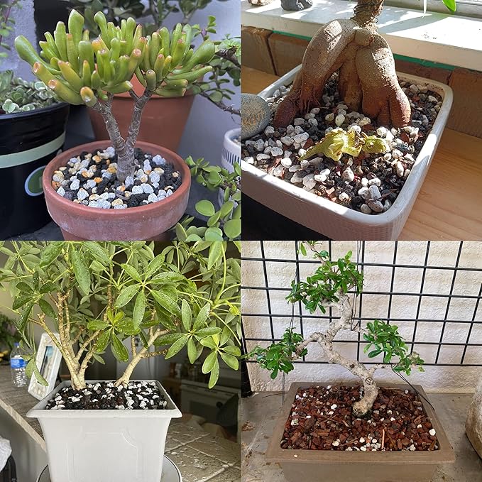 Organic Pumice for Bonsai and Horticultural 100% Natural (1 gallons, 1/2 inch)