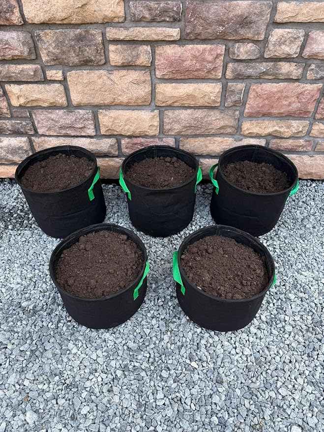 Seeding Square Fabric Grow Bags (5 Gallon) – Durable, Reusable Air-Pruning Plant Pots for Vegetables, Fruits & Herbs – Eco-Friendly Breathable Planter Bags for Healthy Roots & Bigger Harvests