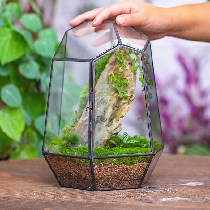 NCYP Close Geometric Glass Terrarium with Door - 9.8 inches Tall Irregular Planter for Succulents, Small Cacti, Modern Home Garden Tabletop Decor, Black, Handmade (Plants NOT Included)