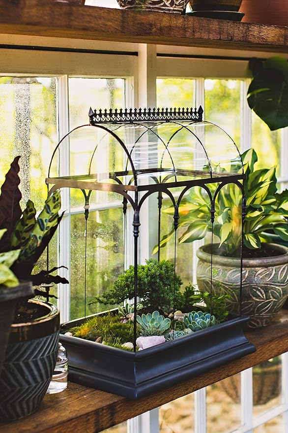 Terrarium Large Glass Succulent Planter Wardian Case Container for Plants from H Potter WAR150
