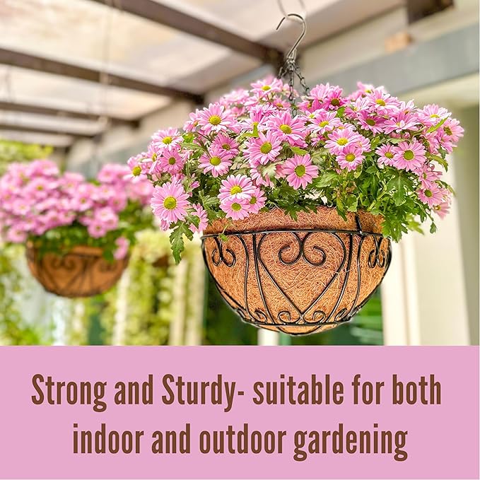 LaLaGreen Hanging Baskets for Plants (12 Inch, 2 Pack) Hanging Flower Pots with Coco Liner, Black Metal Wire Round Basket Plant Holder with Hanger Hook Chain, Outdoor Patio Deck Balcony Garden Decor