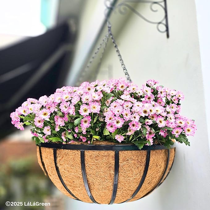 LaLaGreen Outdoor Hanging Baskets for Plants (4 Pack, 18 Inch) Extra Large Black Metal Flat Iron Hanging Planter with Coco Liner Round Flower Pot Holder Deck Porch Modern Garden Balcony Rustic Decor