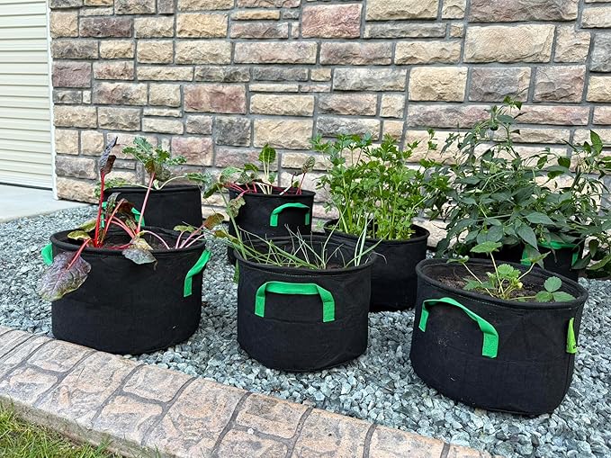 Seeding Square Fabric Grow Bags (5 Gallon) – Durable, Reusable Air-Pruning Plant Pots for Vegetables, Fruits & Herbs – Eco-Friendly Breathable Planter Bags for Healthy Roots & Bigger Harvests