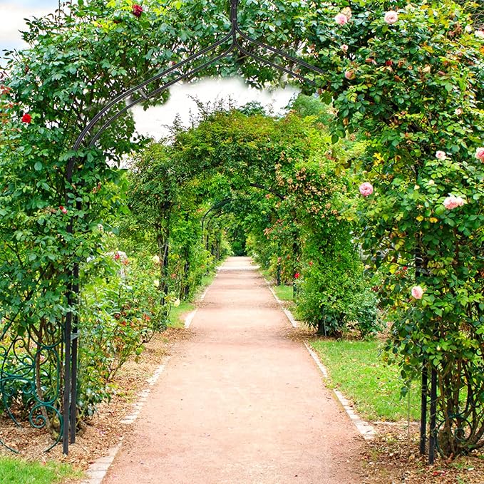 S AFSTAR 9.5 Ft Metal Arch, Outdoor Garden Arch for Various Climbing Plant Flower, Wedding Backdrop Stand Archway Arbor for Wedding Garden Party Ceremony Gothic Style Decoration, Easy-to-Assemble (2)
