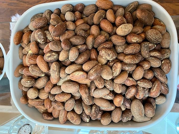 HIGHERGRADE UNLIMITED Fresh Organic Bitter Kola (Garcinia Kola from west Africa) 1LB