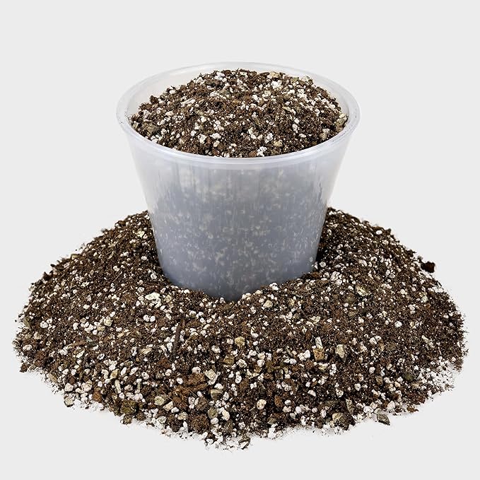 Premium African Violets and Gesneriad Premium Soil Mix by Gardenera - Horticultural Perlite (25%) + Vermiculite (25%) + Sphagnum Peat Moss (50%) - Made in USA - (3 Quart Bag)