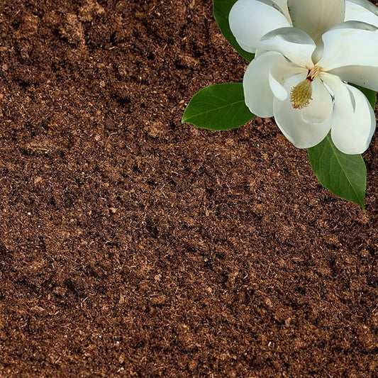 Peat Moss for Plants – Organic Sphagnum Peat Moss for Orchids, Terrariums, Seed Starting, Reptiles & Potting Soil Mix (20 quarts)