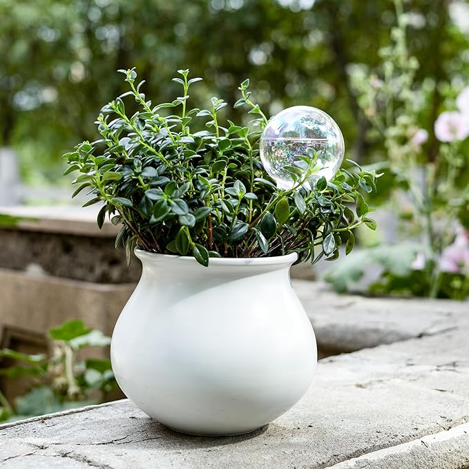 6.4 oz Medium Plant Self Watering Globes, Light Iridescent Glass Water Bulbs for Indoor Plants, Vacation Watering System, Plant Watering Spikes Stakes, Automatic Plant Waterer, 4 Pack