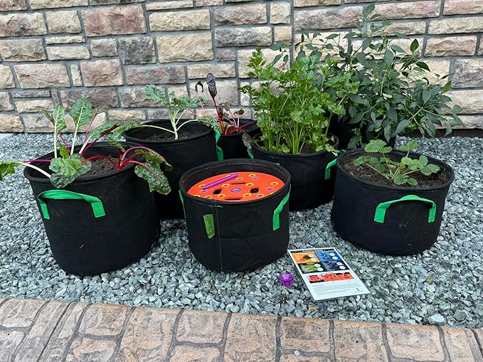 Seeding Square Fabric Grow Bags (5 Gallon) – Durable, Reusable Air-Pruning Plant Pots for Vegetables, Fruits & Herbs – Eco-Friendly Breathable Planter Bags for Healthy Roots & Bigger Harvests