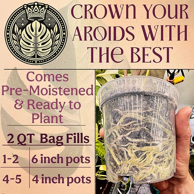 Craft Aroid Potting Mix- Elite Organic Alocasia, Philodendron, Monstera Soil Mix, Chunky, Well Draining Potting Soil for Indoor Plants, All Tropical Plants & Houseplants, Perlite & Peat Free 2QT