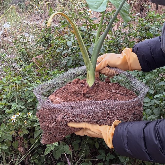 10 Pcs 5 Gallon Root Guard Baskets for Plants, Underground Stainless Steel Wire Mesh Cages Gopher and Vole Wire Basket Protect The Roots of Large Plants