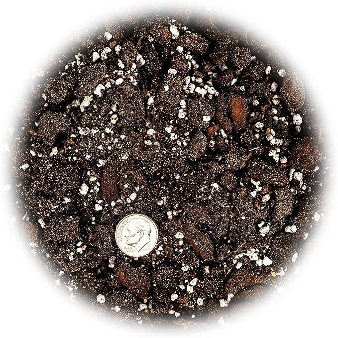 Gardenera Professional Succulent Soil Premium All Purpose Blend | Pre-Mixed Ready to Use for Cactus and Succulents | Sphagnum Peat Moss, Perlite, New Zealand Pine Bark - Made in USA - 1 Quart