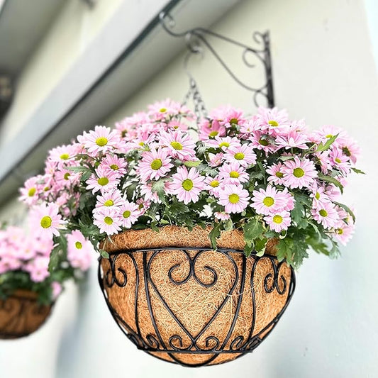 LaLaGreen Hanging Baskets for Plants (16 Inch, 6 Pack) Extra Large Hanging Flower Pot with Coco Liner Black Metal Wire Round Plant Holder with Hanger Hook Chain Outdoor Patio Deck Balcony Garden Decor