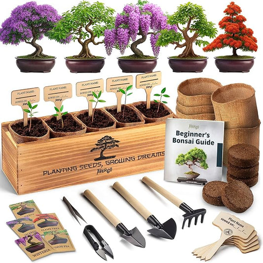 DIY Bonsai Tree Kit for Beginners – 5X Unique Japanese Bonzai Trees, Complete Indoor Bonsai Starter Kit for Growing Bonsai Plants w/Tools & Planters – DIY Christmas Gardening Gifts for Mom