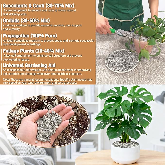Horticultural Pumice for Plants, 3 Quarts Bag （4.4IB） Natural Soil Amendment, 1/4" Particle Size for Succulent, Cactus, Bonsai Tree, Orchid Potting Mix
