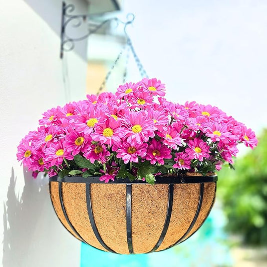 LaLaGreen Outdoor Hanging Baskets for Plants (2 Pack, 18 Inch) Extra Large Black Metal Flat Iron Hanging Planters with Coco Liner Round Flower Pot Holder Hanger Deck Porch Modern Garden Balcony Decor
