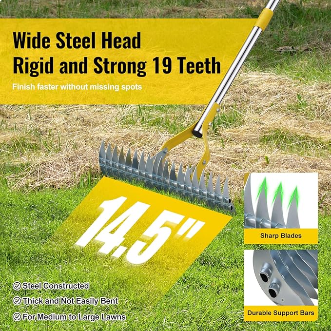 Garden Leaf Rake: Dual Function Thatching Rake for Lawn Dead Grass Leaves, Stainless Steel Heavy Duty 69” Lawn Dethatcher with Sharp 19 Tines, Fast Weeds, Leaf, Thatch, Dead Grass Removal Garden Tool