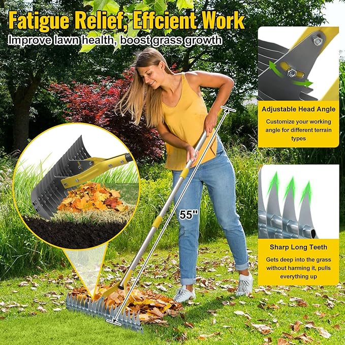 2 in 1 Rake: Stainless Steel Garden Rake for Leaves,Thatch,55” Heavy Duty 19 Tines Lawn Manual Dethatcher with Adjustable Head,Thatching Rakes for Lawn Yard Grass, Debris Removal, Soil Loosening