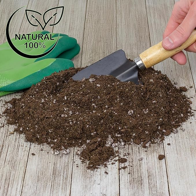 Soil Sunrise Citrus Tree Potting Soil Mix (8 Quarts) Special Blend for Indoor Oranges, Lemons, Limes and More
