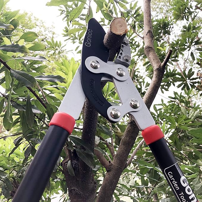 Gonicc Professional 30 inch SK-5 Steel Blade Anvil Lopper, 2-Inch Capacity, Sturdy Extra Leverage 22-Inch Handles, Garden Pruning Tree Hedge Branch Trimmer Clippers scissors.