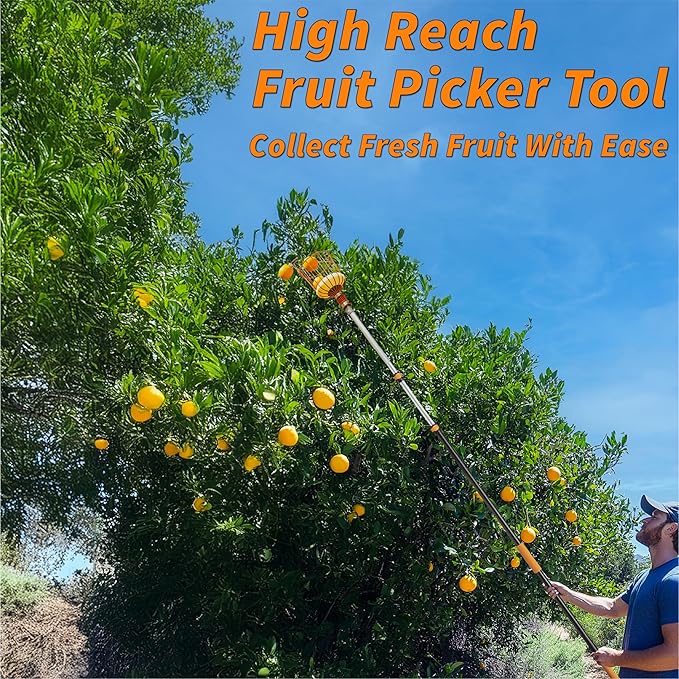 Fruit Picker Pole with Basket Telescoping 4-12 ft Apple Picker Extension Pole // Telescopic Fruit Tree Picker Tool for Picking Orange Mango Avocado Lemon Pear // The Ultimate High-Reach Fruit Grabber