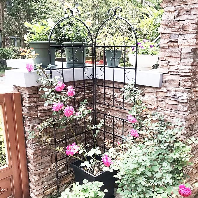 Metal Garden Trellis Garden Fence Rustproof Trellis for Climbing Plants Support Roses Flower Outdoor Lawn (6, Pattern-D)