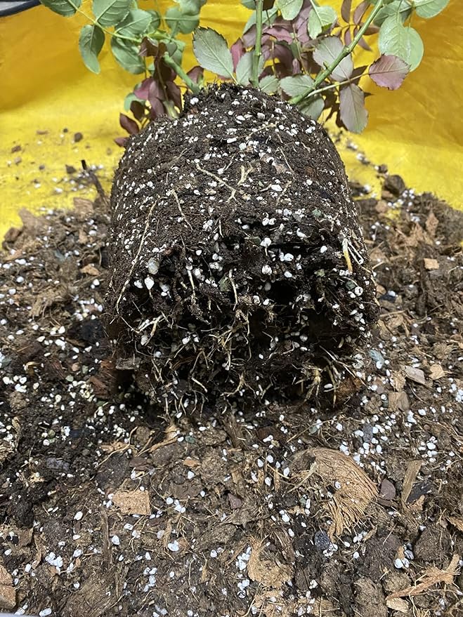 20QT Organic Perlite Horticultural Soil Amendment for Plants and Enhanced Drainage Enhanced