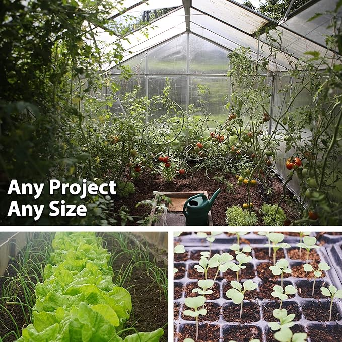 Mammoth Melting Sugar Pod Snow Pea Garden Seed - 25 Lbs Bulk ~45,000 Seeds - Non-GMO, Heirloom Vegetable Gardening & Microgreens Seed