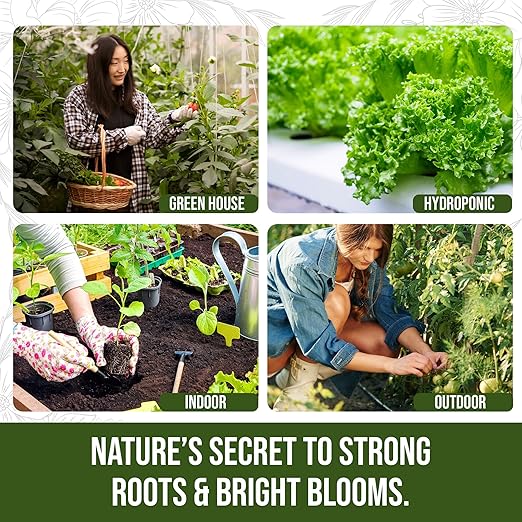 PlantVantage Root & Bloom Fertilizer - Concentrated Liquid Fertilizer for Strong Roots and Big Blooms - Bloom Plant Food for Trees, Shrubs, Flowers and Vegetables - Ideal Soil and Foliar Spray - 32 oz