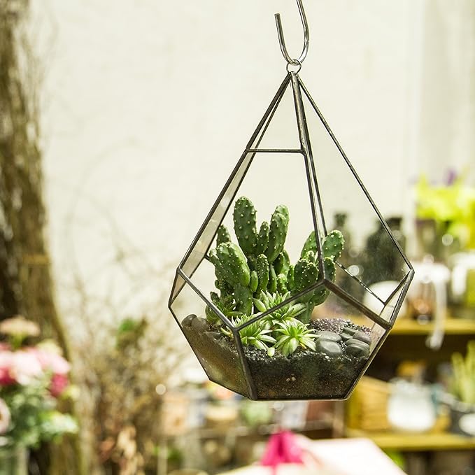 NCYP Hanging Glass Geometric Terrarium for Succulent - 6.8" x 6.8" x 8.6" Indoor Teardrop Shape Plants Planter, Tabletop Decorative Centerpiece, Black Container, Opening, Handmade (No Plants)