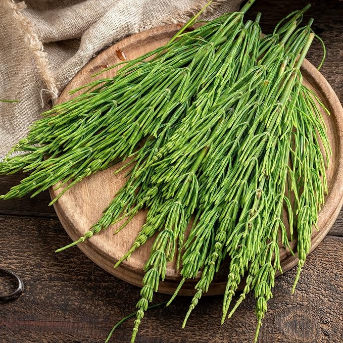 Frontier Co-op Organic Cut & Sifted Horsetail Herb 1lb