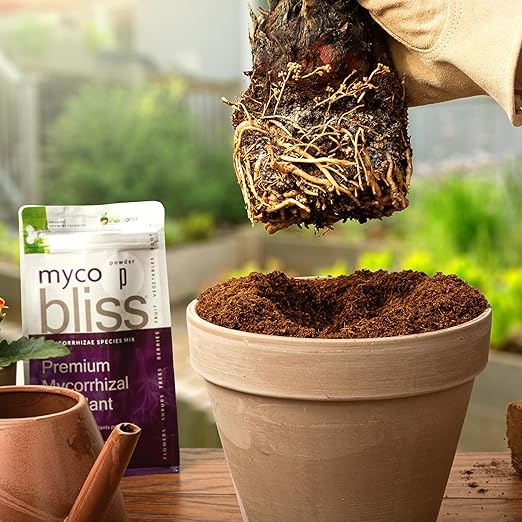 Myco Bliss Granular (2lbs) - Mycorrhizal Fungi for Plants - 5 Strain Mycorrhizal Inoculant with 1000 Propagules Per Gram - Highly Concentrated Mycorrhizae for Plants, Potting Soil, & Garden Soil