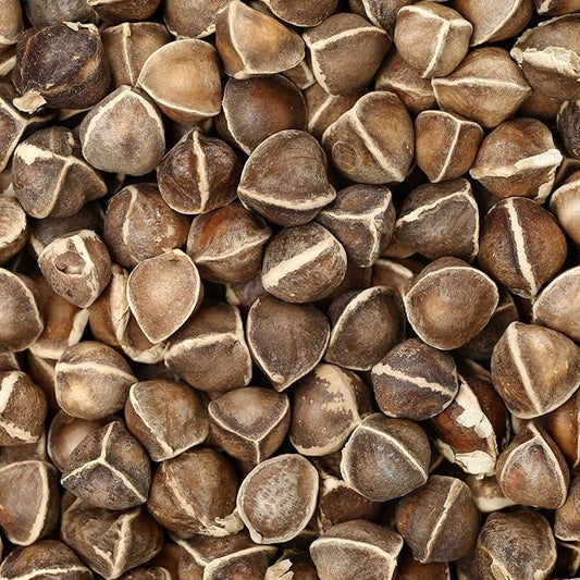 Moringa Seeds for Planting - 1 Oz ~85 Seeds - Grow Moringa Seeds to Eat - Moringa Plant Tree Seedlings - Experience The Benefits of The Tree of Life, Moringa Oleifera