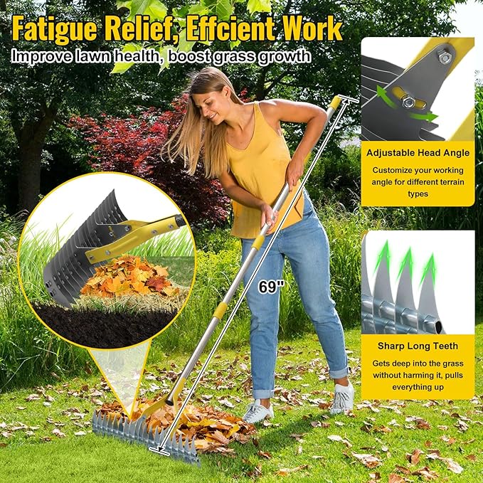 Garden Leaf Rake: Dual Function Thatching Rake for Lawn Dead Grass Leaves, Stainless Steel Heavy Duty 69” Lawn Dethatcher with Sharp 19 Tines, Fast Weeds, Leaf, Thatch, Dead Grass Removal Garden Tool