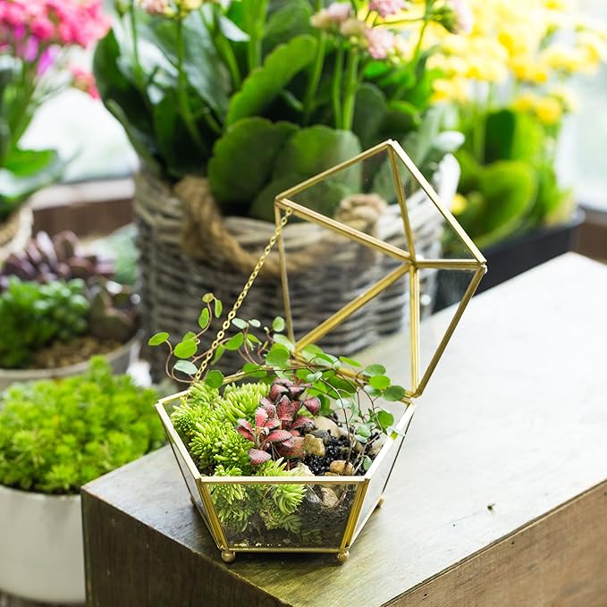 NCYP Small Geometric Vintage Glass Jewelry Box, Gold Succelent Plants Terrarium with Swing Lid, Pentagon Shape Clear Metal Brass Display Planter for Wedding Decoration (No Plants, Terrarium Only)