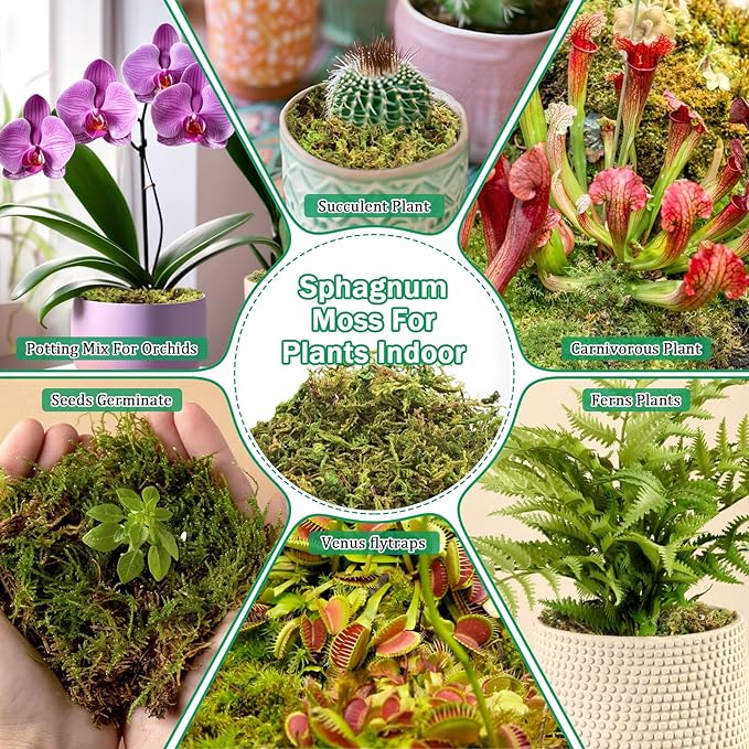 Riare 2.8LBS Premium Sphagnum Moss for Plants- 55QT Natural Dried Plant Moss for Potted Plants, Orchid Moss for Repotting, Soft Green Decorative Moss for Succulents, Reptiles & DIY Crafts