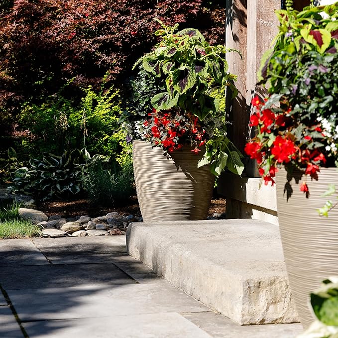 Newport 50‑Gallon Flat‑Back Rain Barrel with Stand & Planter Bundle – Sandstone | Removable Lid, UV-Stabilized Outdoor Water Storage