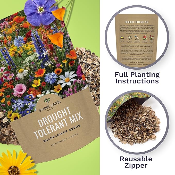 Drought Tolerant Wildflowers Mix – Bulk Quarter Pound Bag – Over 30,000 Open Pollinated Non-GMO Seeds – 21 Different Dryland Species