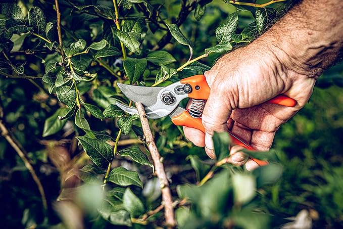 Original LÖWE LÖWE 14.107 Garden Shears Metal