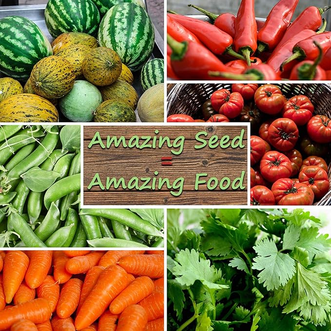 Bug Out Bag Survival Garden Vegetable & Herb Seeds - ~12,000 Seeds - Collection of 19 Heirloom Seed Varieties for Emergency Seed Vault - Bean, Beet, Carrot, Corn, Kale, Onion, Pepper, & 12 More…