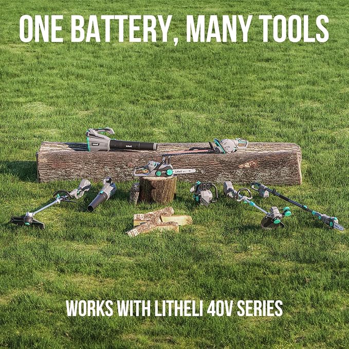 Litheli Cordless Pole Saw & Chainsaw 10-Inch, Battery Powered 20V 2.0Ah Pole Saws & 20V 4.0Ah Chainsaw for Branch, Cutting, Trimming, Electric Saws(Battery & Charger Included)