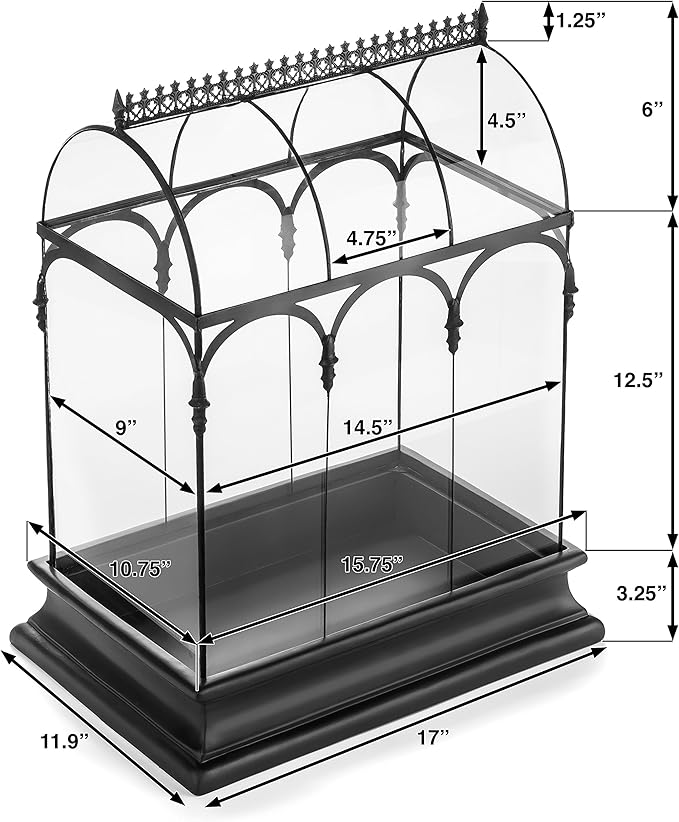 Terrarium Large Glass Succulent Planter Wardian Case Container for Plants from H Potter WAR150