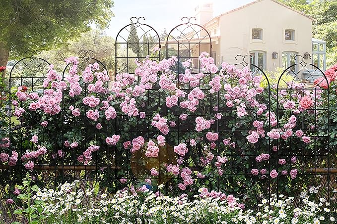 LZRS 2 Pack 83x20in Rustic Iron Arch Decoration Garden Trellis with Black Metal Coating – Perfect for Supporting Climbing Plants Outdoor, Roses, Vines, Flowers, and Vegetables.